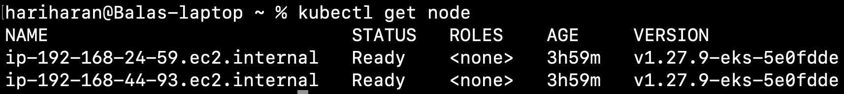 Setting up TLS with Nginx Ingress